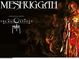 Meshuggah